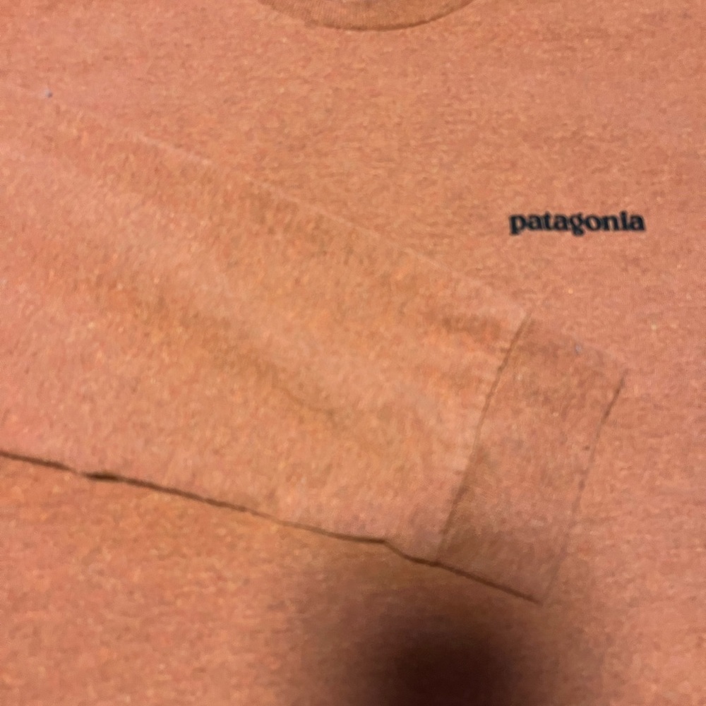 Patagonia Rust T-Shirt - Picture 2 of 4
